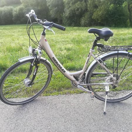 Black Forest Bollenhut Deluxe Lenzkirch Exterior foto