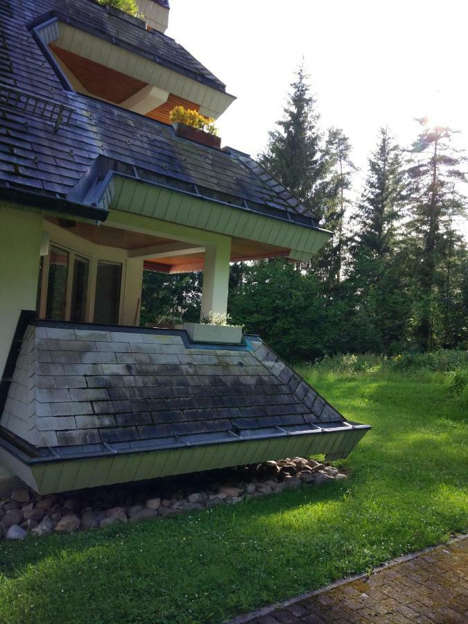 Black Forest Bollenhut Deluxe Lenzkirch Exterior foto