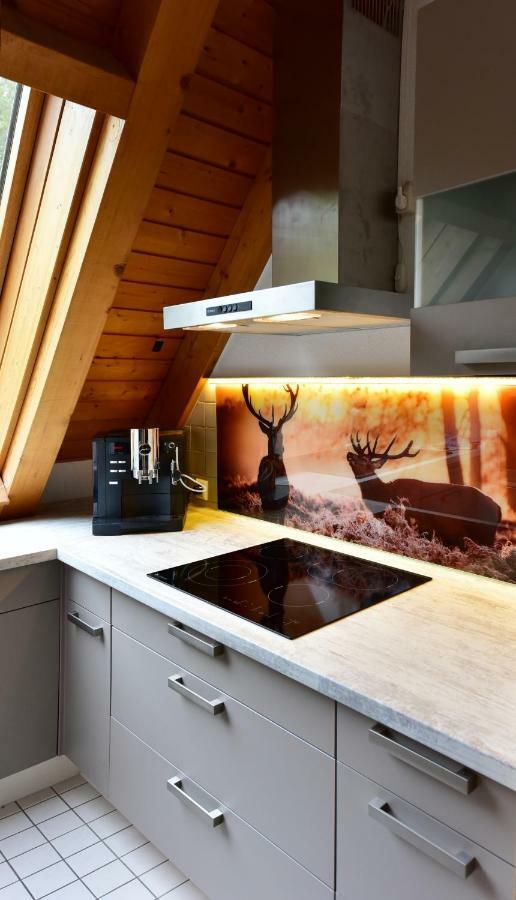 Black Forest Bollenhut Deluxe Lenzkirch Exterior foto